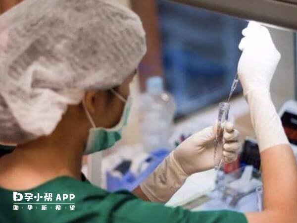 泰國試管技術排名全球第二