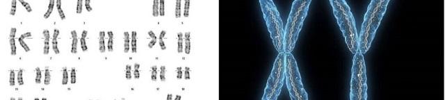  “核型檢測”與“CNV檢測模式圖”