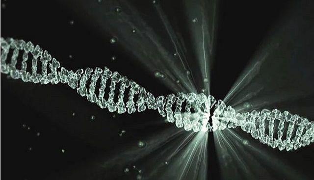無創DNA 基因檢測(NIPT)