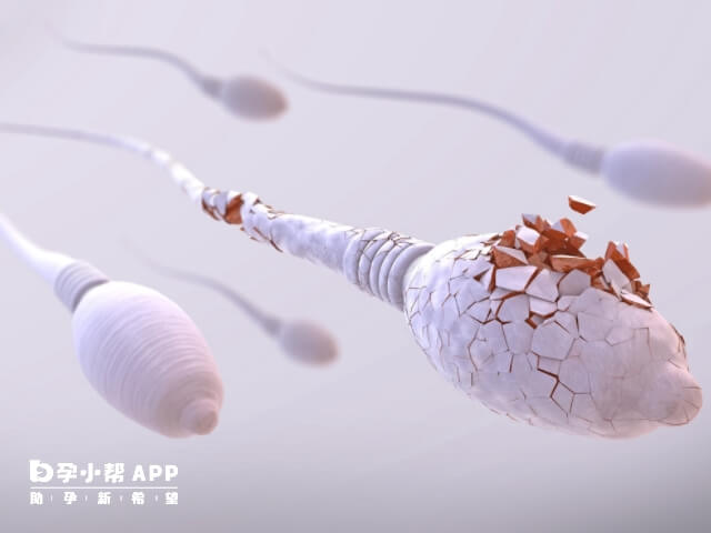 性禁慾時間過短不利精子質量提升