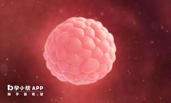 卵泡少應該用藥治療