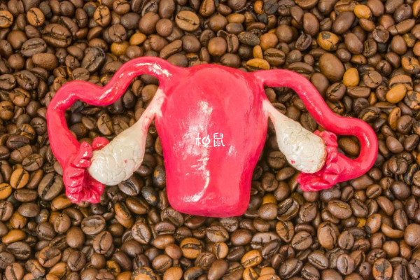 子宮頸的情況可以看出產後恢復情況