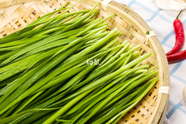 韭菜吃多了哺乳期妈妈会回奶