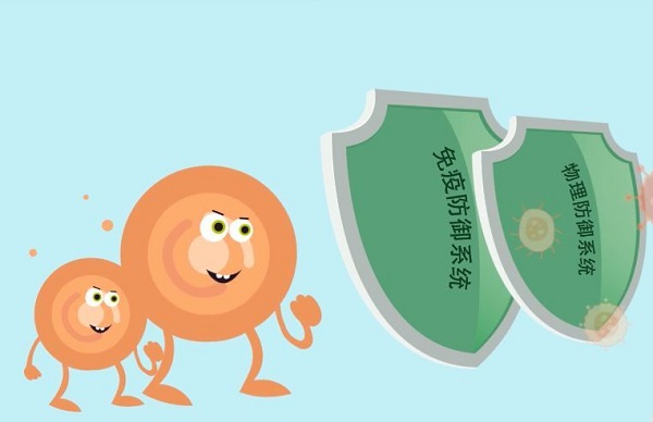 免疫力低的人可適當服用番茄紅素