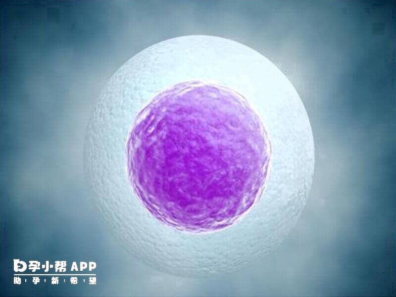 檢視俄羅斯官方資訊