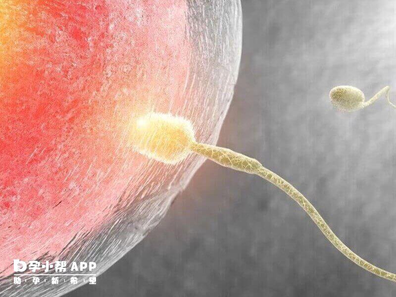 試管吃dhea的好處