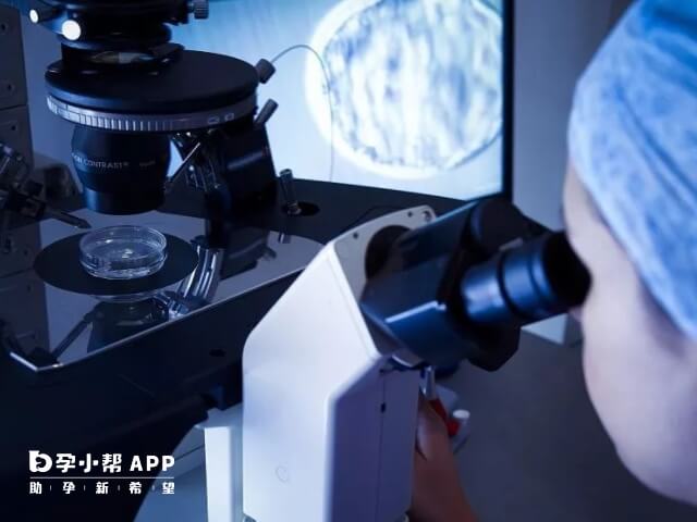 女性每個月只有一個卵子成熟