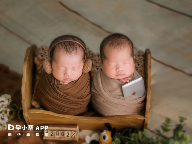 生育龍鳳胎的機率很低