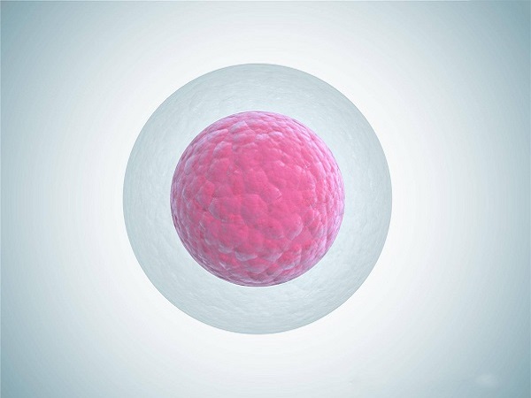 備孕前要監測卵泡