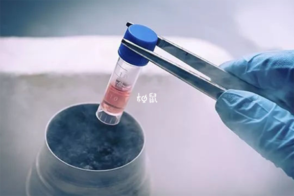 首次儲存胚胎收費較高