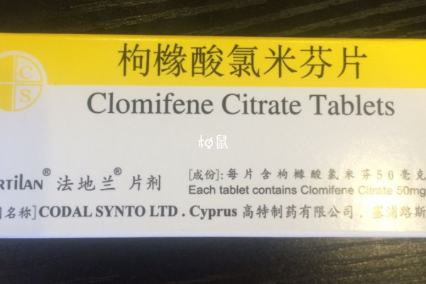 不同方案的優缺點有所不同