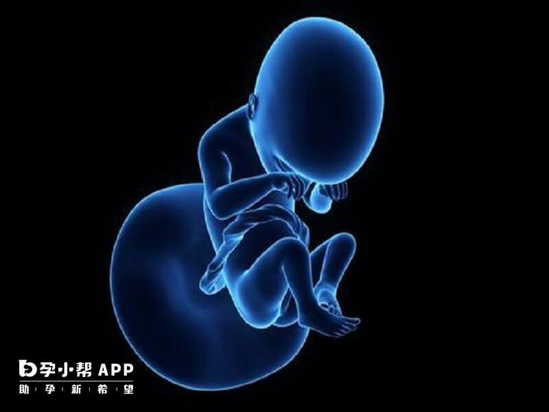 俄羅斯第三代試管嬰兒技術強