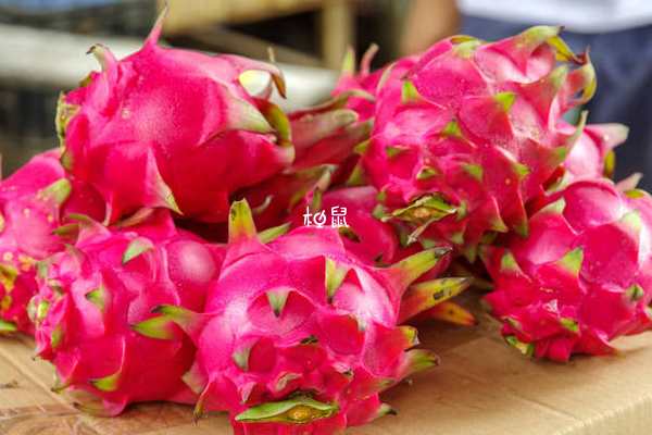 女性哺乳期可以吃火龍果