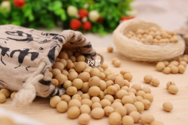女性哺乳期不能吃黃豆