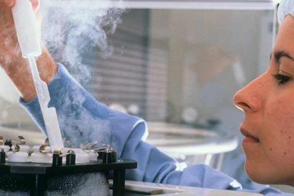 冷凍卵子復甦率在70%-80%之間