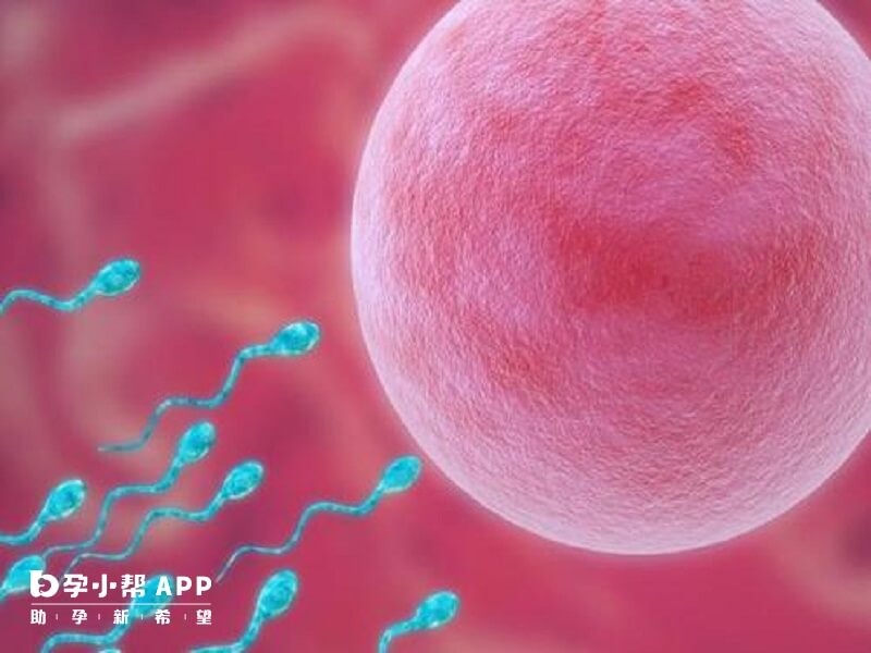 俄羅斯試管嬰兒流程安全有保障