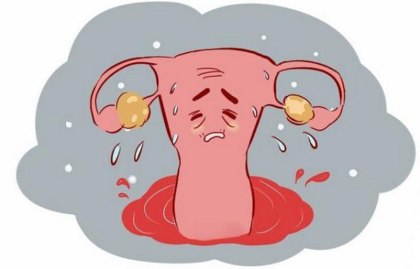 卵巢功能下降可服用dhea進行改善