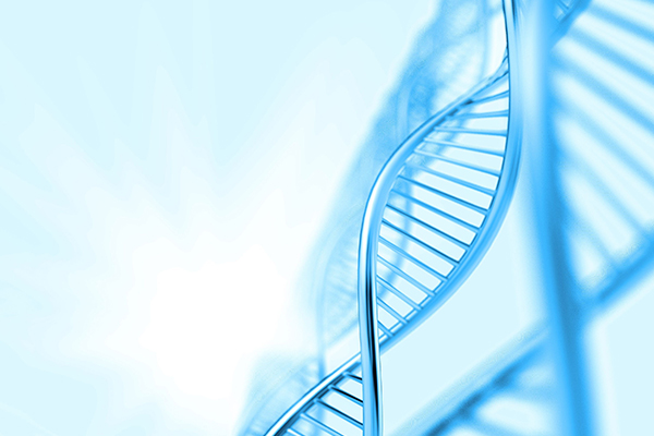 染色體20p13重複可能會胎停