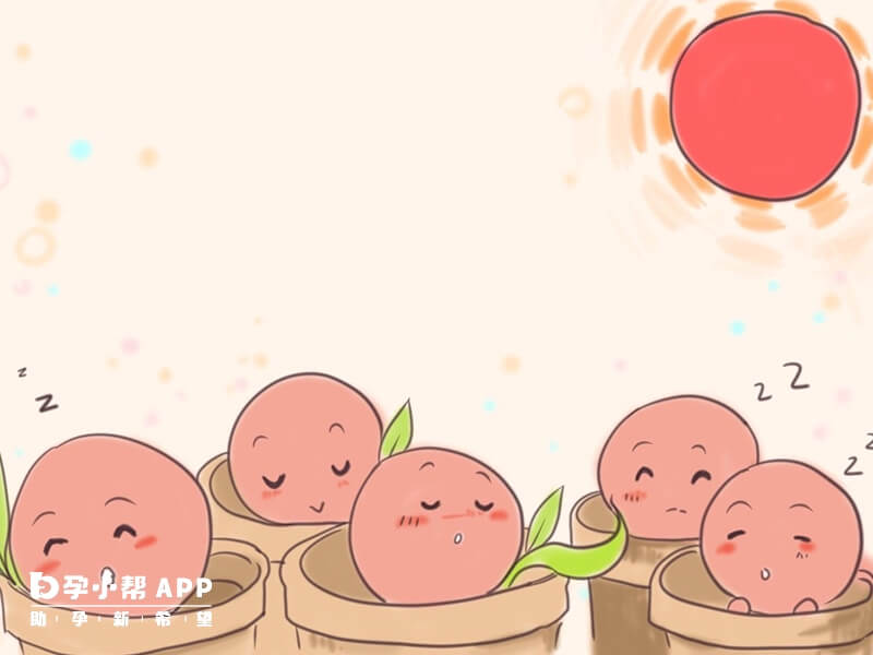 等卵泡大於14mm時就可以取卵