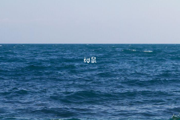 梦见大海会生男孩
