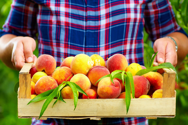 哺乳期女性可以吃桃子