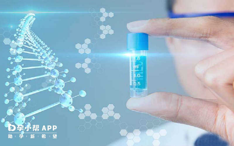 試管龍鳳胎的成功率較低