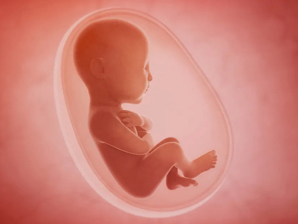 成功率高是泰國試管優勢之一