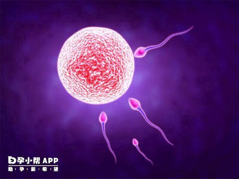 選擇醫院先檢視醫院資格