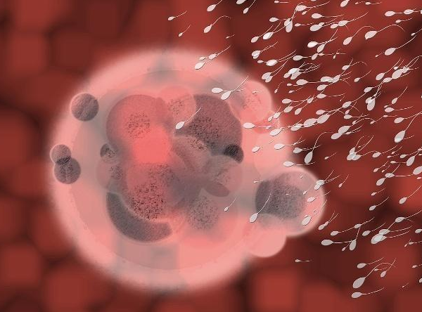 空跑卵的表現是月經異常