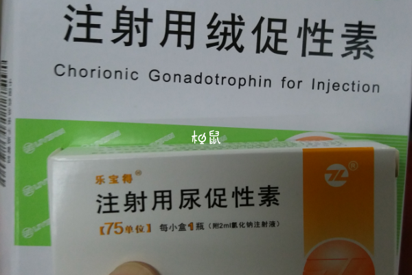 試管方案是根據身體情況制定的