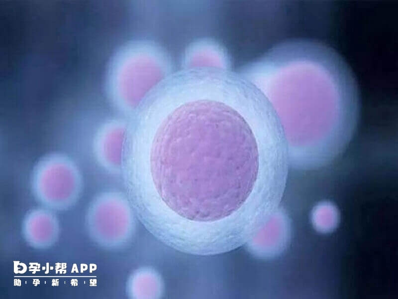 俄羅斯試管嬰兒