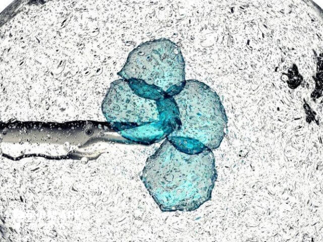 年齡超過35歲凍卵意義不大