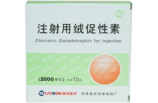 絨促性素可增大女性懷孕機率