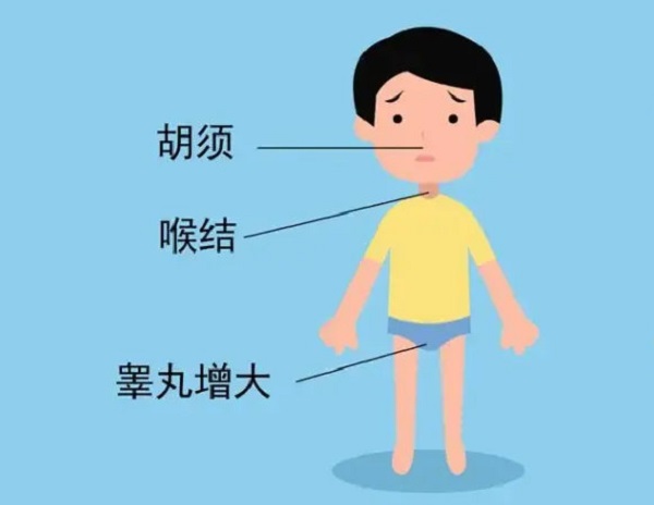 不当使用绒促性素会导致男性性早熟