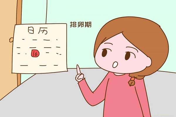 排卵期雌二醇為70~1835皮摩爾/升