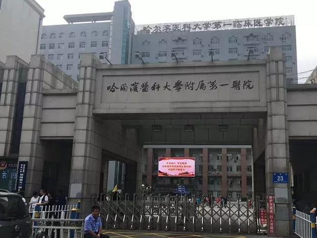 哈醫大一院生殖中心規模大