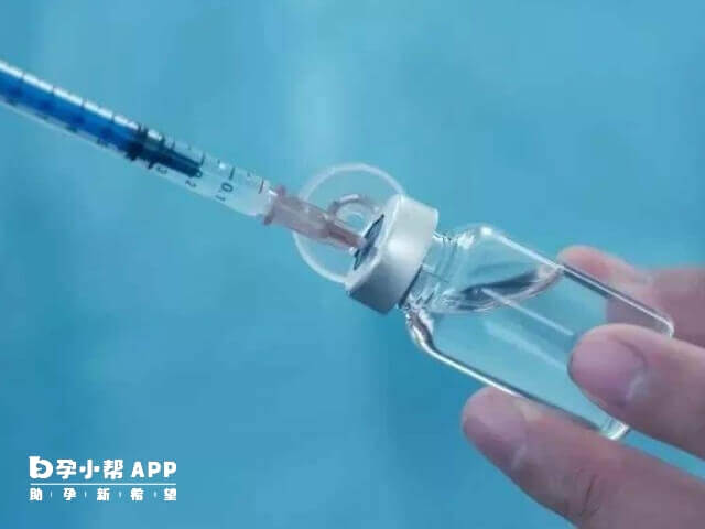 市面上有三種hpv疫苗型別