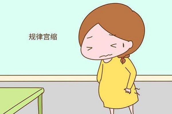 宮縮具有一定規律性