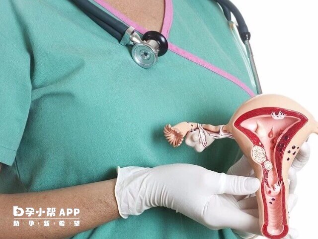 促排卵不會造成卵巢早衰