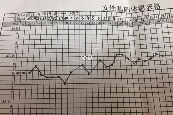 体温测怀孕需要长期坚持
