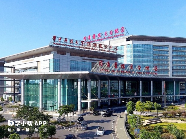 武漢同濟醫院可以供卵