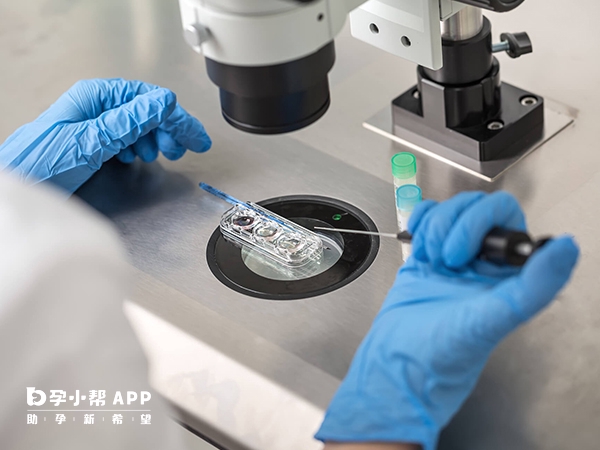 泰國試管成功率比國內高一倍以上