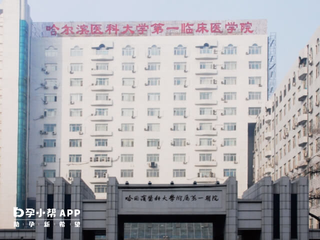 哈爾濱人工授精醫院