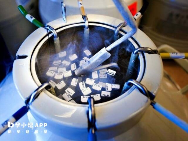 北醫三院凍卵技術