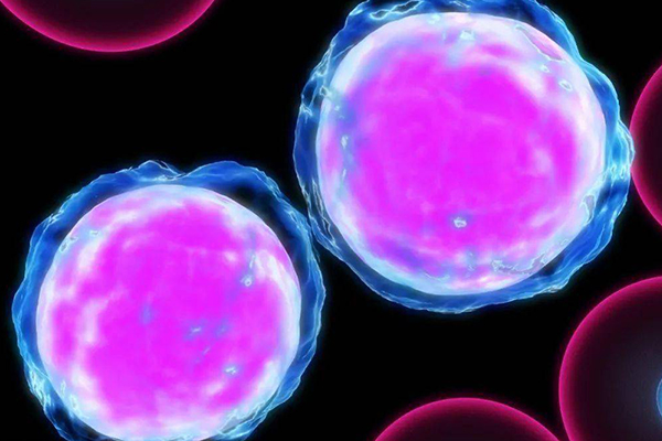 染色體三體可能引起胎停