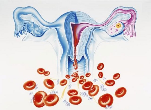 停經是受孕成功的標誌之一