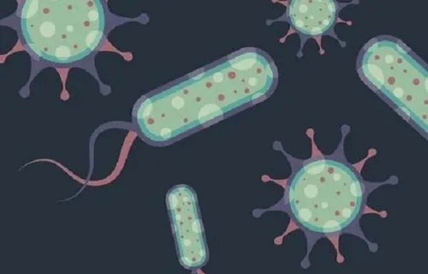 甲硝唑栓是可用於治療滴蟲性陰道炎的藥物