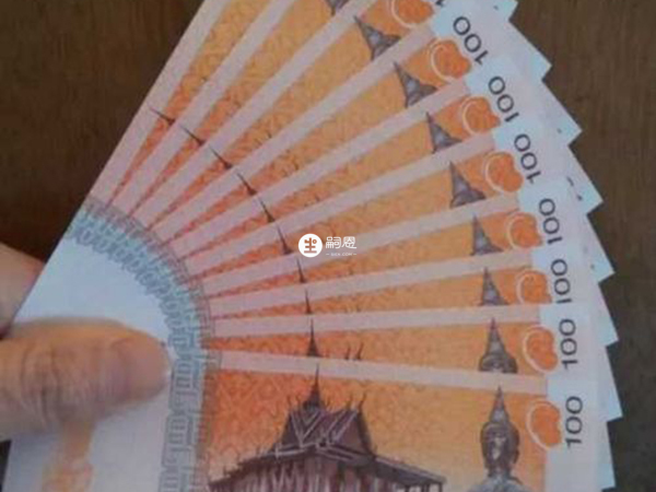 柬埔寨試管嬰兒騙局之一低價營銷