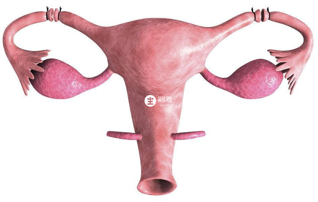 兩邊輸卵管都切除了是完全可以做試管的