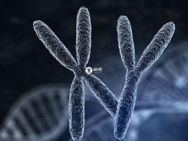 染色體有異常不建議自然懷孕